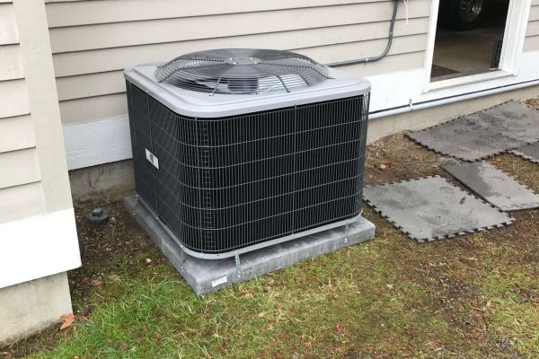 image3 (10)