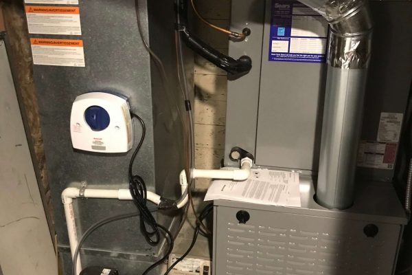 image3 (11)